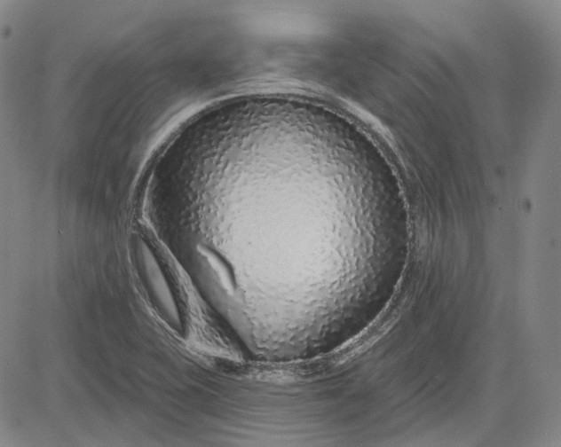 X0000083021415200702161605