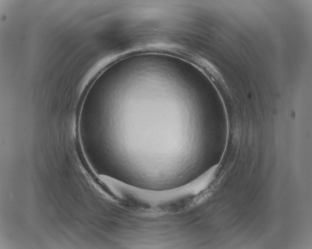 X0000083021420200702161605