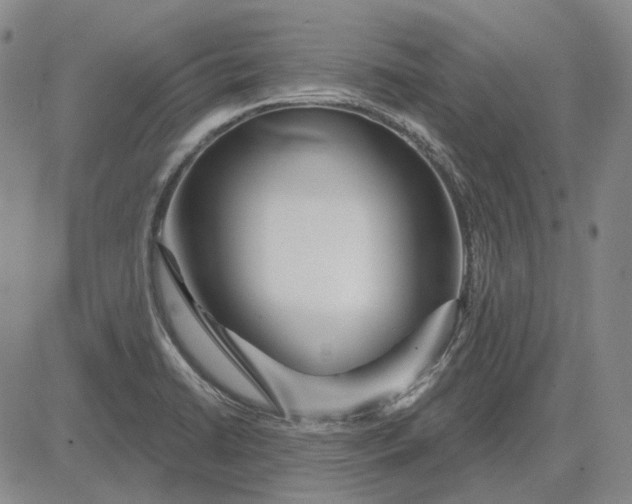 X0000083021422200702161605