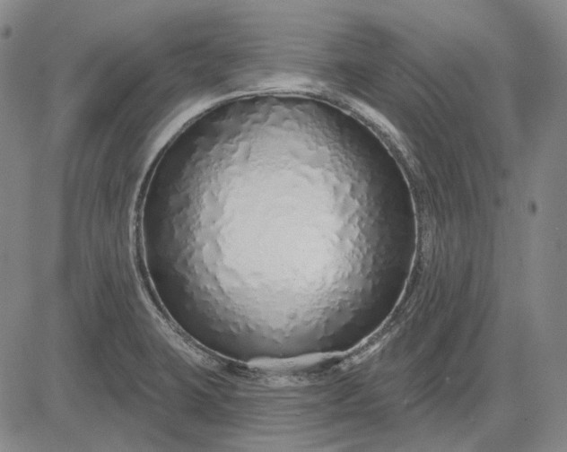 X0000083021423200702161605