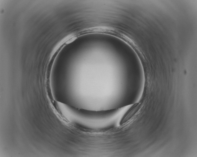 X0000083021426200702161605