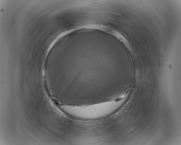 X0000083021428200702161605