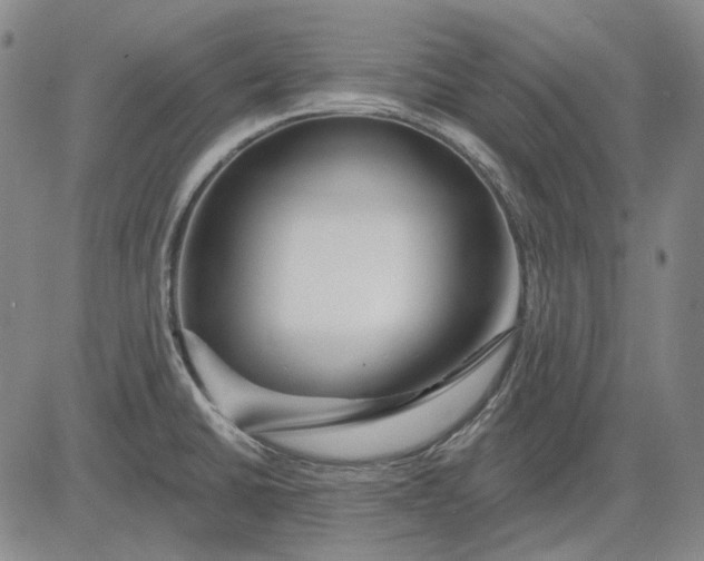 X0000083021430200702161605
