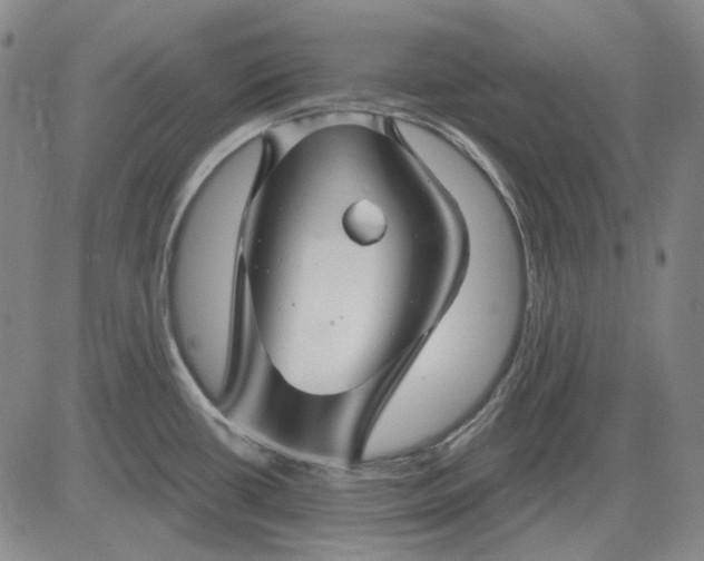 X0000083021434200702161605