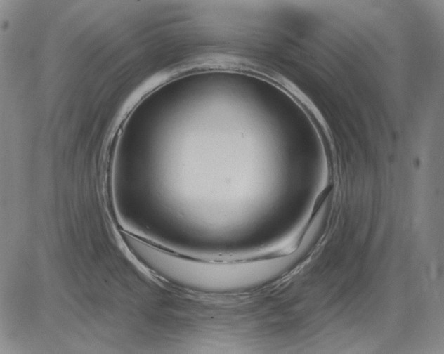 X0000083021437200702161605