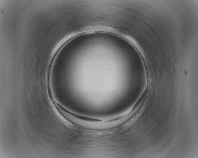 X0000083021438200702161605