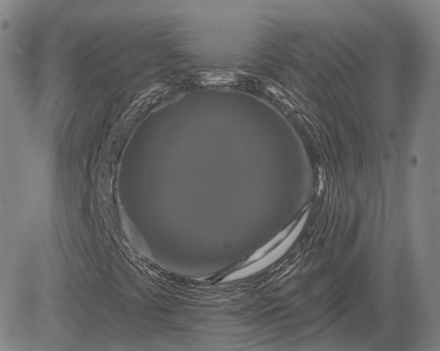X0000083021441200702161604