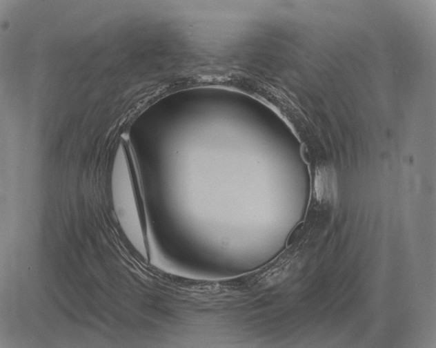 X0000083021444200702161604