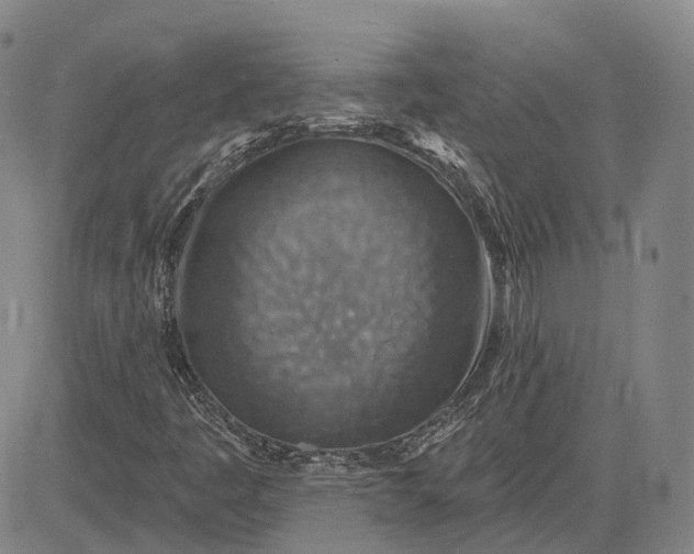 X0000083021445200702161604