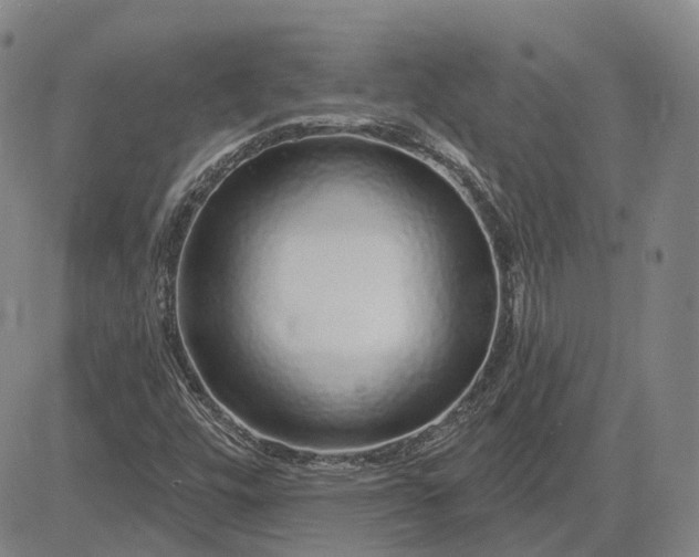 X0000083021448200702161604