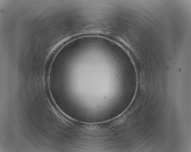 X0000083021452200702161604