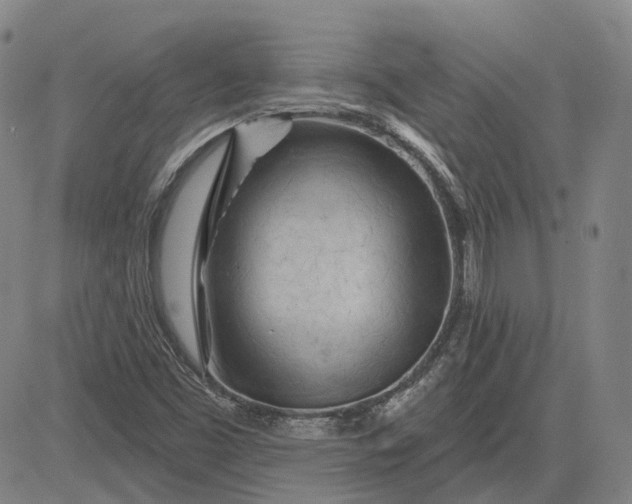 X0000083021453200702161604