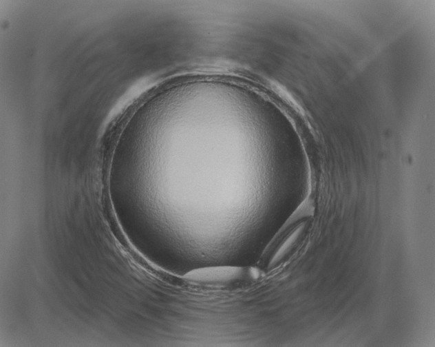 X0000083021456200702161604
