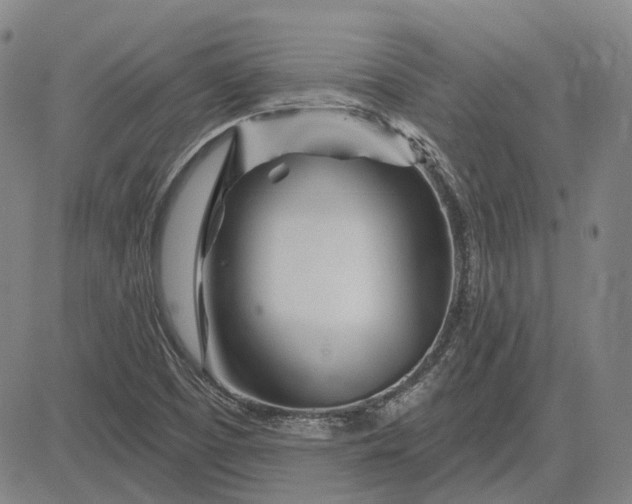 X0000083021457200702161604