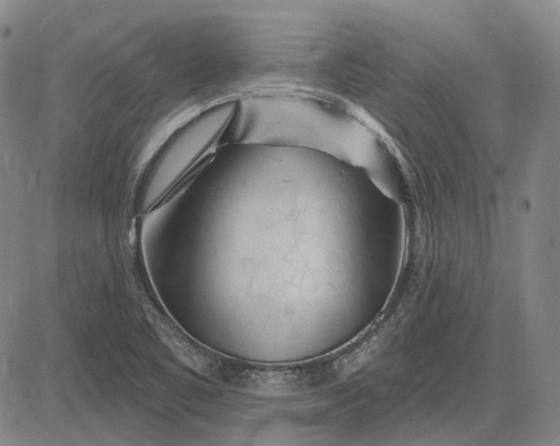 X0000083021461200702161604