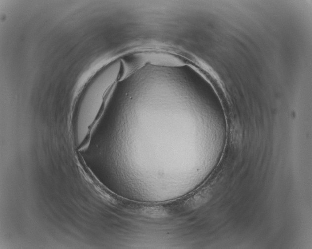 X0000083021464200702161604