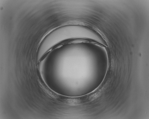 X0000083021465200702161604