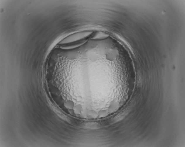 X0000083021467200702161604
