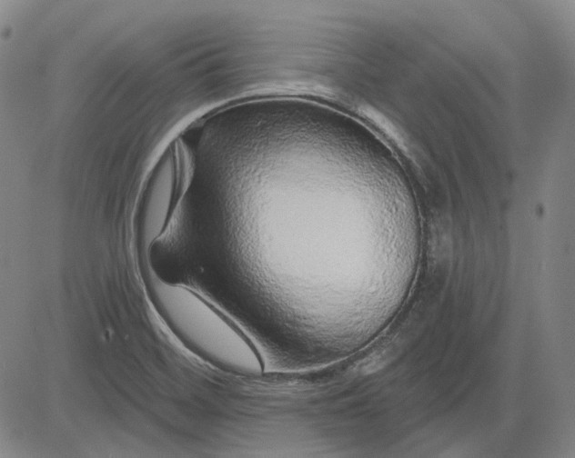 X0000083021468200702161604