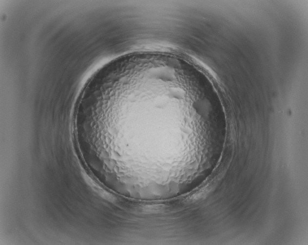X0000083021471200702161604