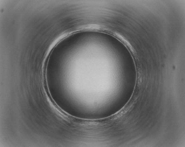 X0000083021475200702161604