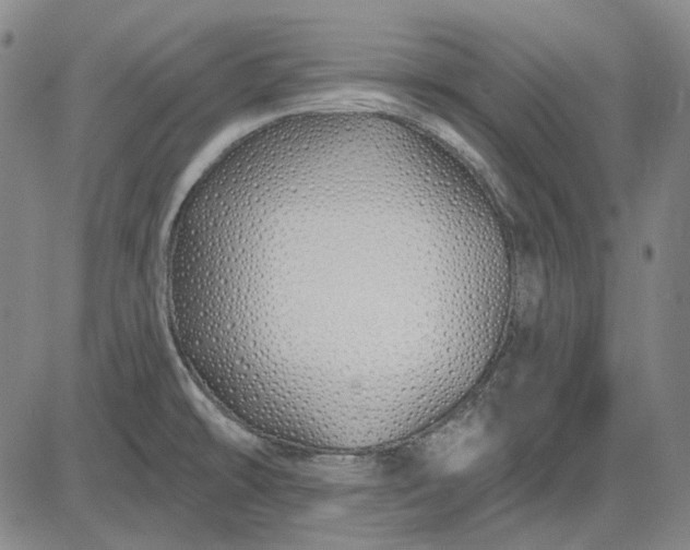 X0000083021478200702161604