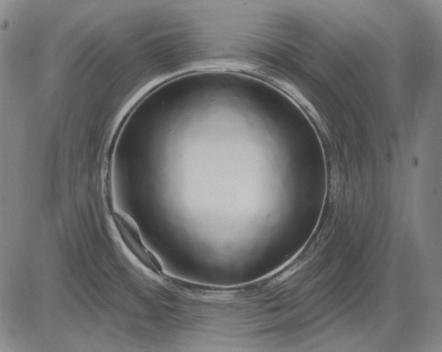 X0000083021484200702161604