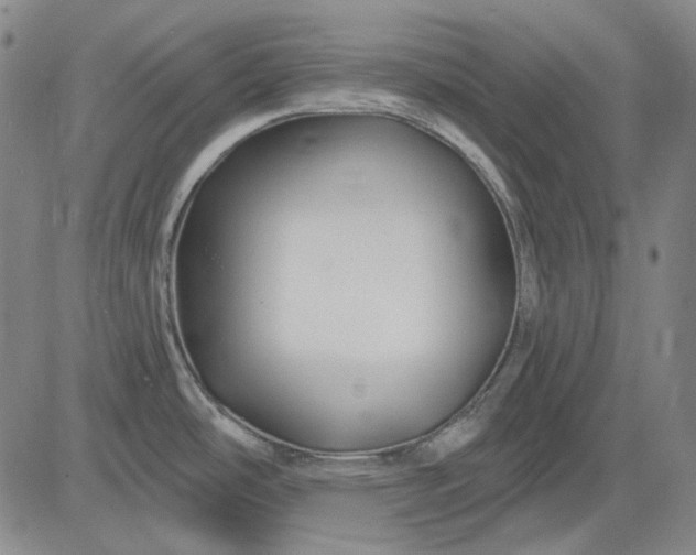 X0000083021486200702161604
