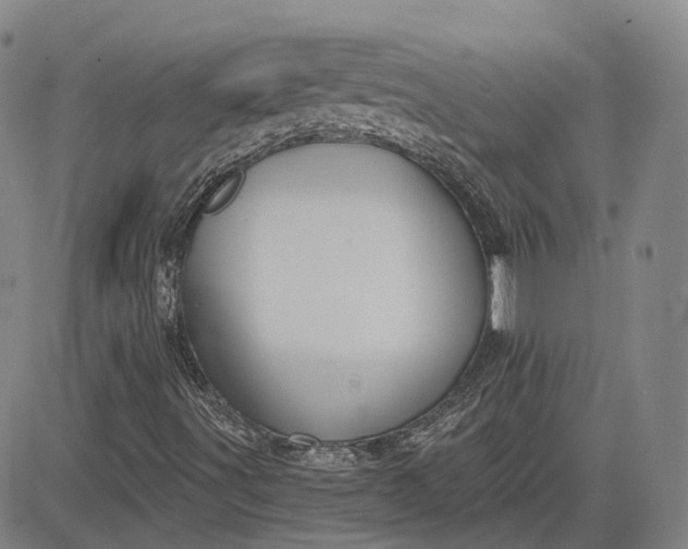 X0000083021491200702161603