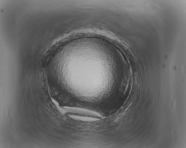 X0000083021494200702161603