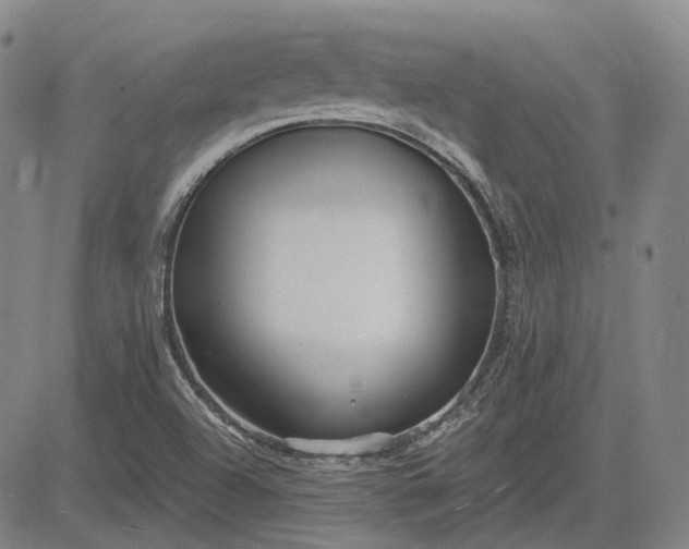 X0000083021504200702161603