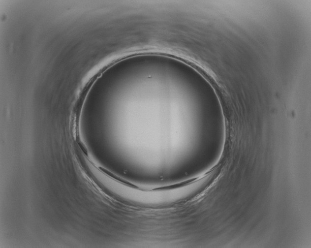 X0000083021510200702161603