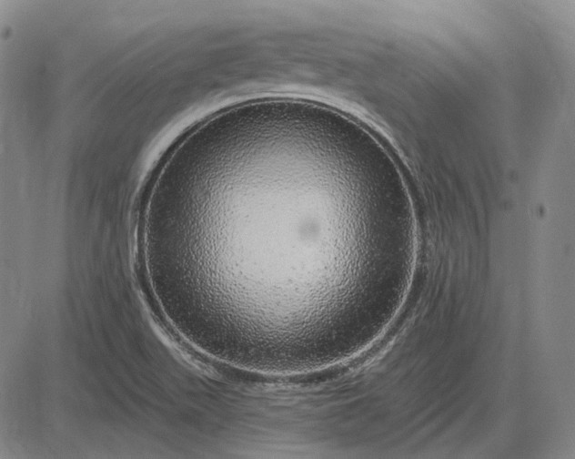 X0000083021511200702161603