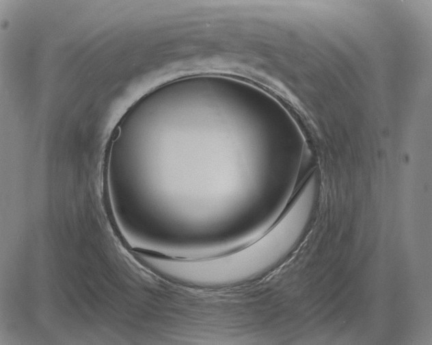 X0000083021512200702161603