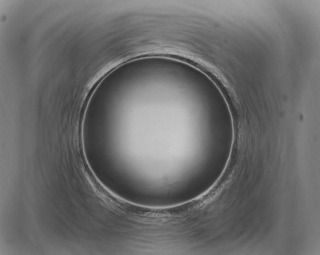X0000083021513200702161603