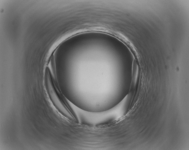 X0000083021520200702161603