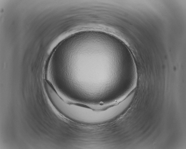 X0000083021523200702161603