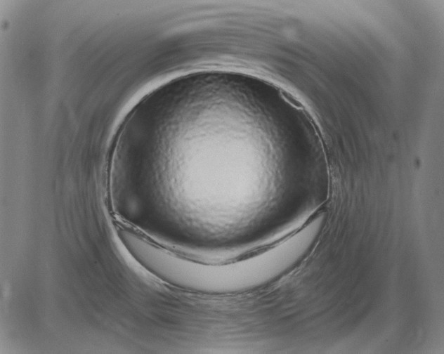 X0000083021531200702161604