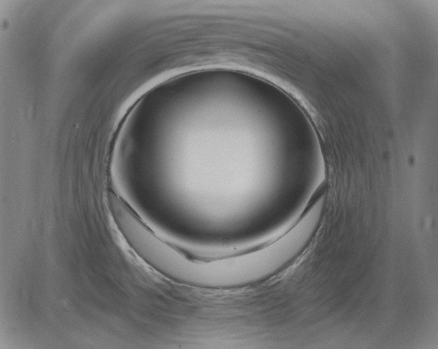 X0000083021534200702161604