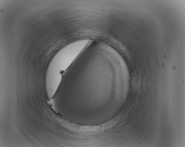 X0000083020027200702231849