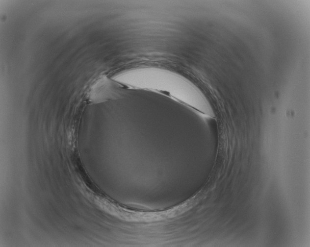 X0000083020031200702231849