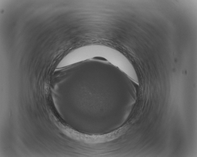 X0000083020039200702231849