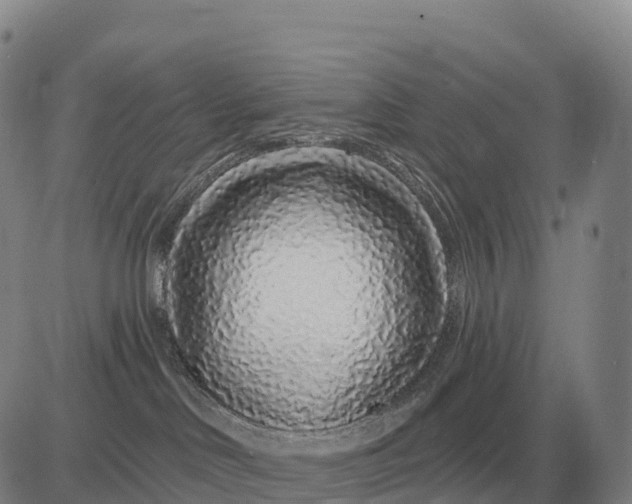X0000083020046200702231849