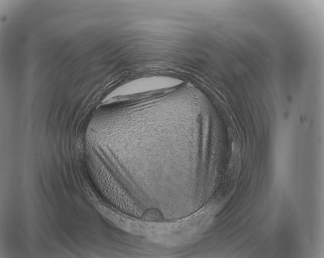 X0000083020048200702231849