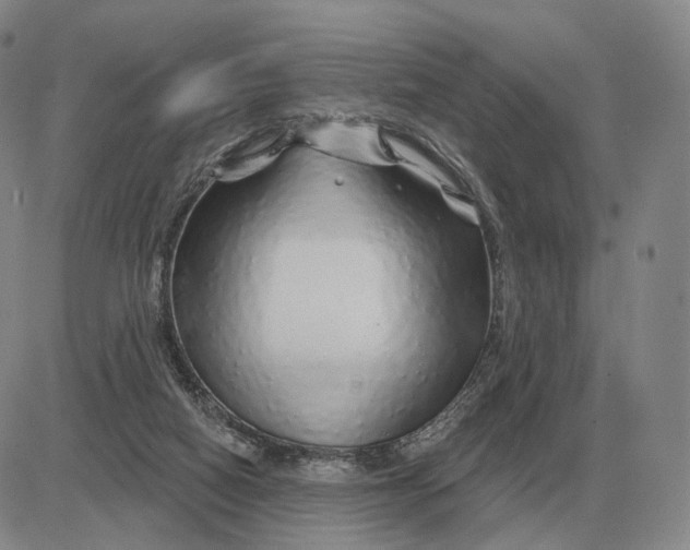 X0000083020066200702231848