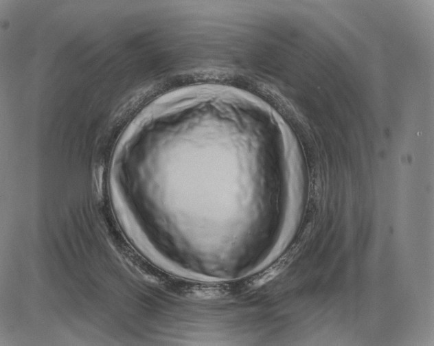 X0000083020070200702231848