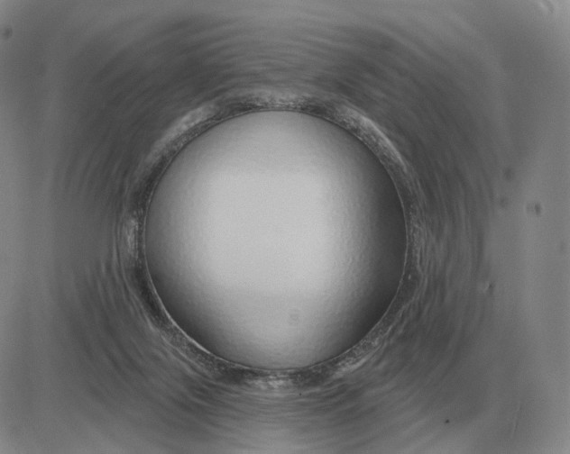 X0000083020071200702231848