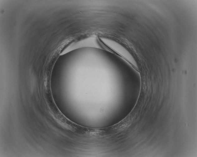 X0000083020072200702231848