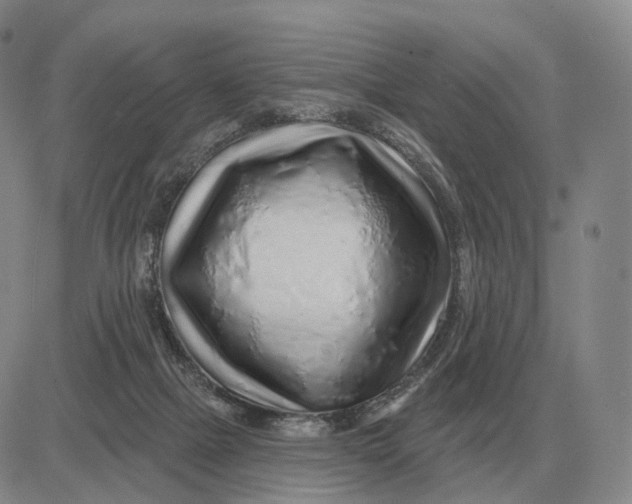 X0000083020073200702231849