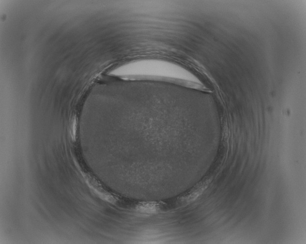 X0000083020076200702231849